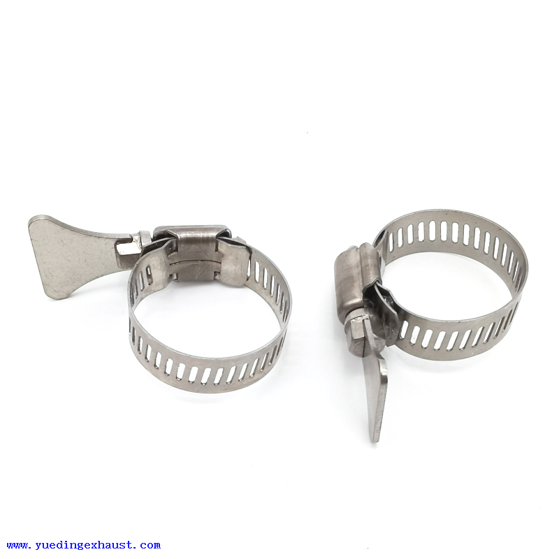 Stainless Steels Professional Hose Clamp for Pvc Pipes