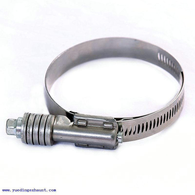 Heavy Duty Constant Torque Worm Gear Hose Clamp with Liner from China
